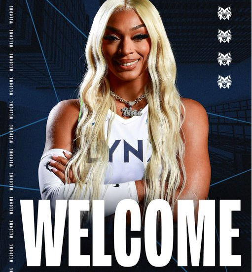 id, 冠的明尼苏, 她效力过康 id, 冠的明尼苏, 她效力过康